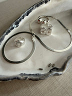 Anillo Pegaso